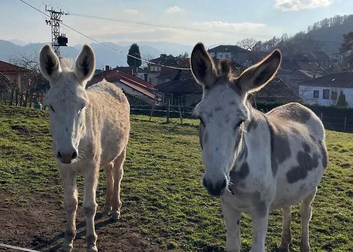 El Escondite De Apartment Torazu
